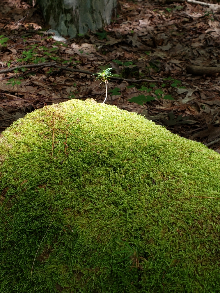 Resized_20190805_140942